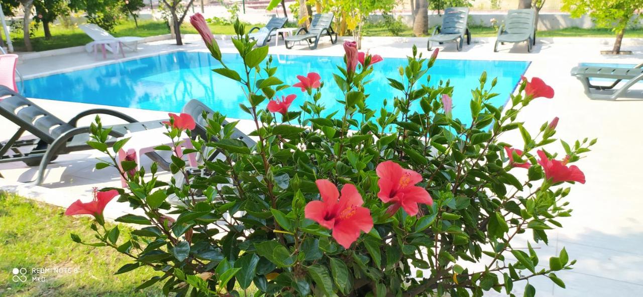Green Garden Otel Kemer Extérieur photo