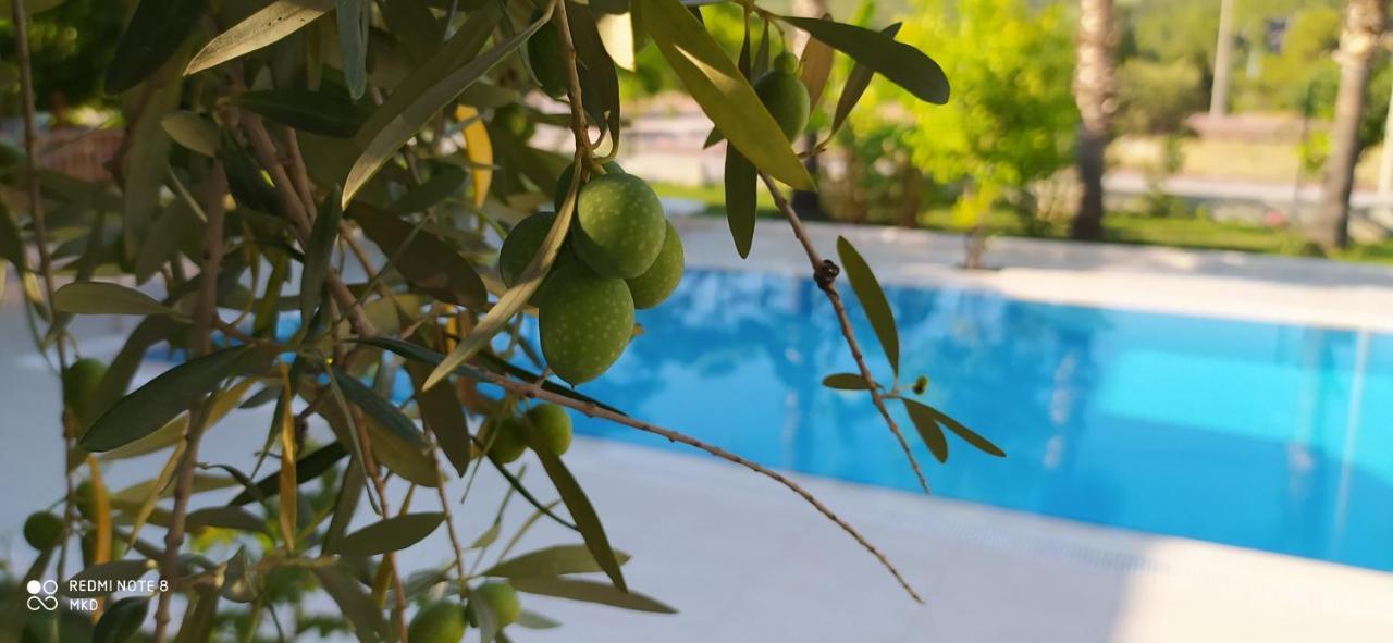 Green Garden Otel Kemer Extérieur photo