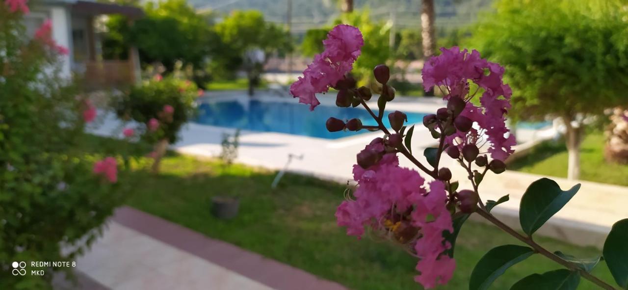 Green Garden Otel Kemer Extérieur photo