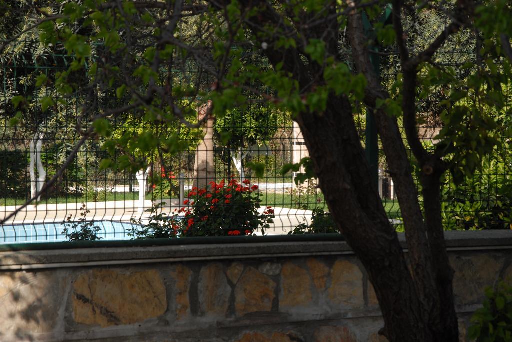 Green Garden Otel Kemer Extérieur photo